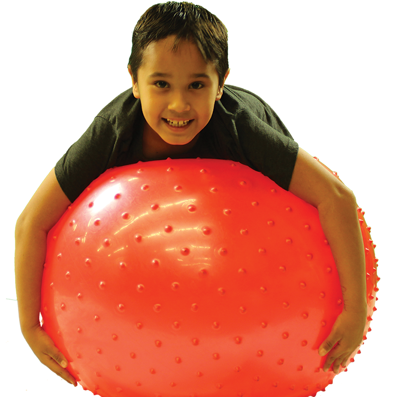Inflatable Therapy Ball
