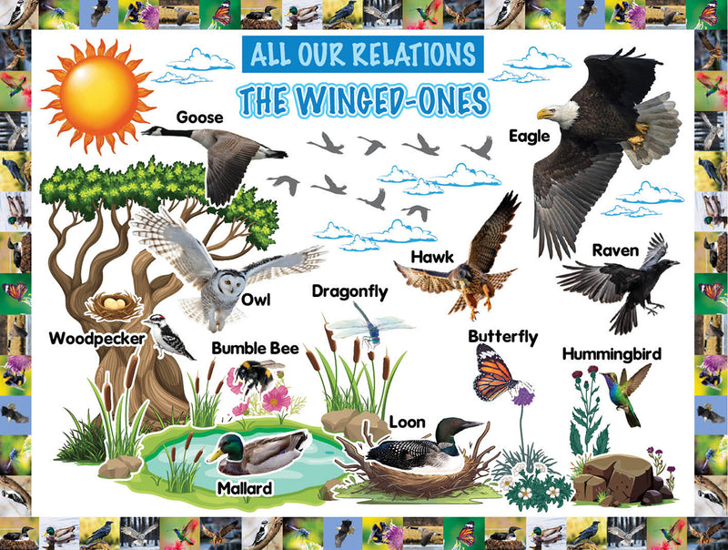 All Our Relations-The Winged-Ones Bulletin Board Set (ETA August 30)