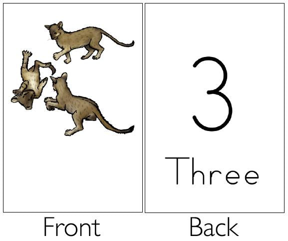 Educational Cards - Numbers - English