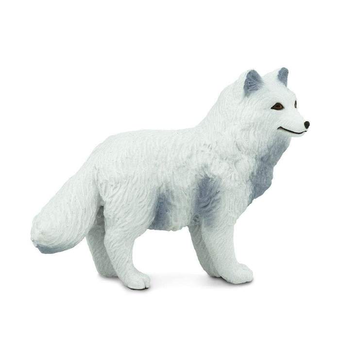 Arctic Fox