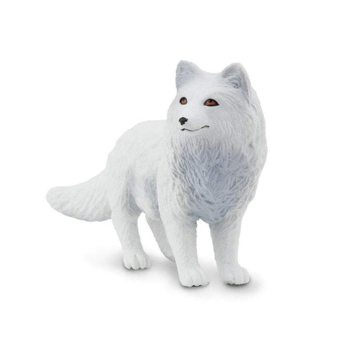 Arctic Fox (Limited Quantity)